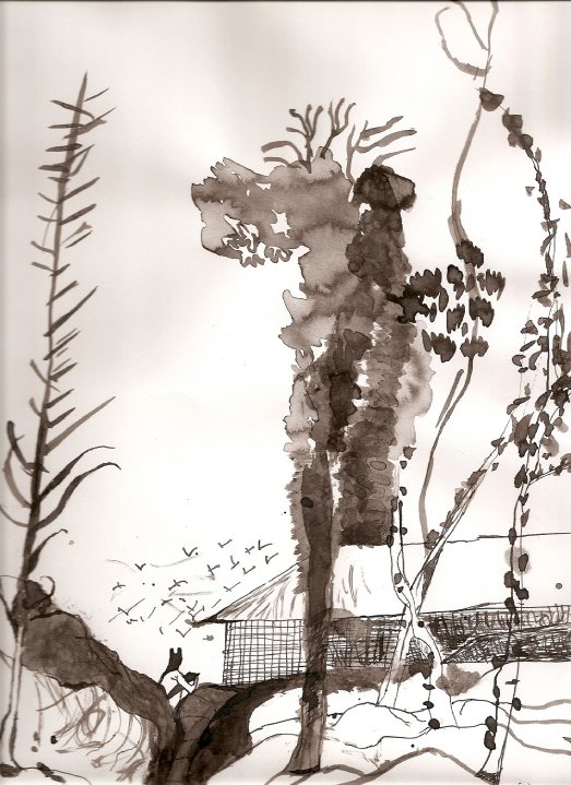 Oeuvre de Micael Zaccharie Naim