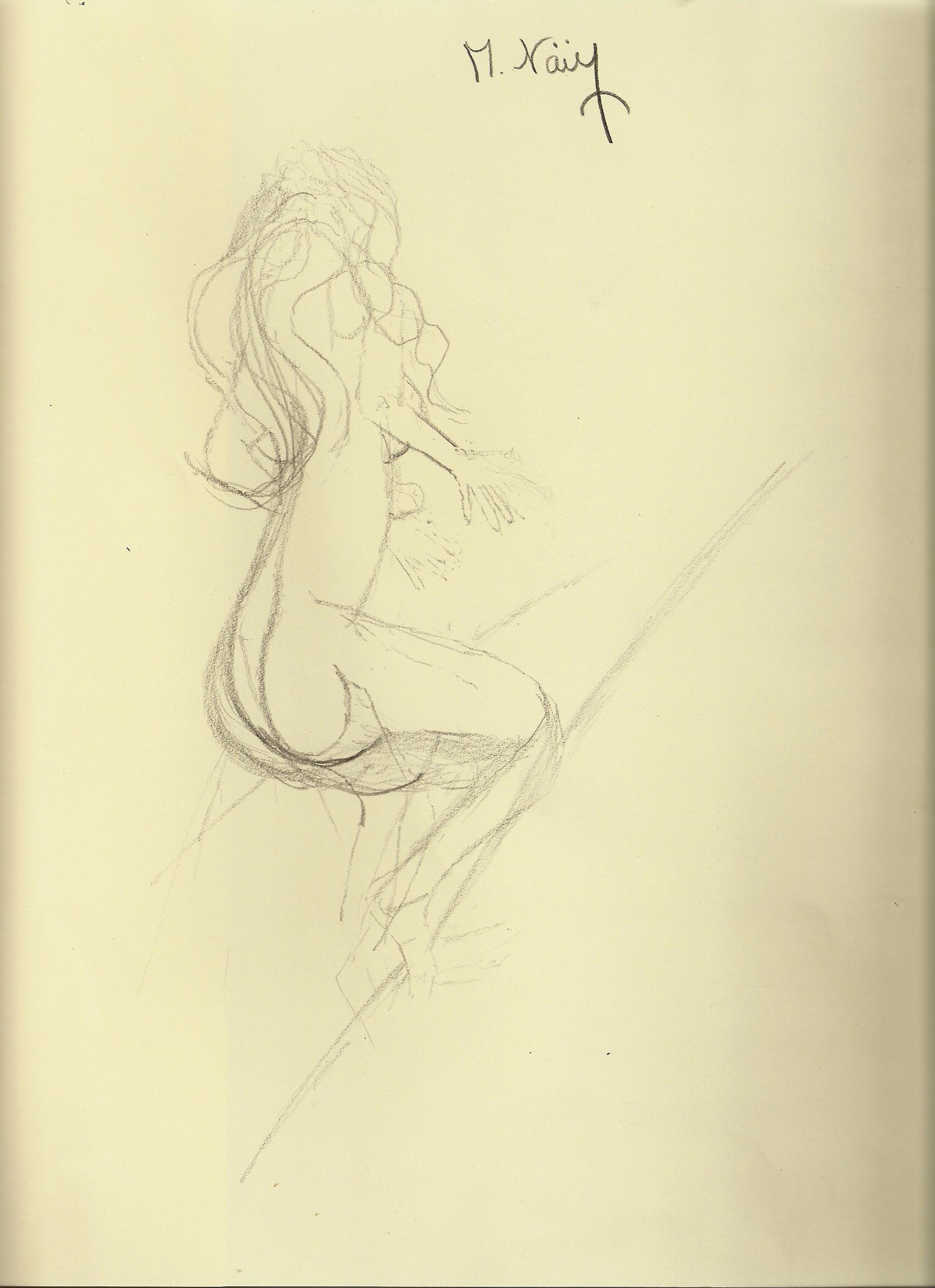 Oeuvre de Micael Zaccharie Naim