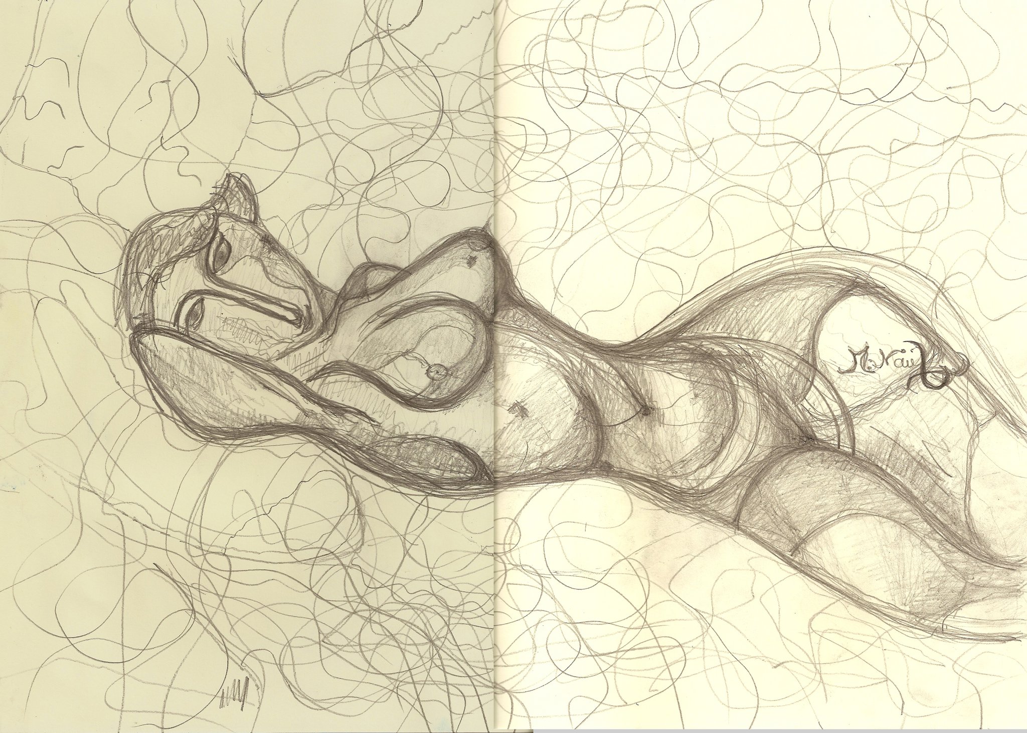 Oeuvre de Micael Zaccharie Naim
